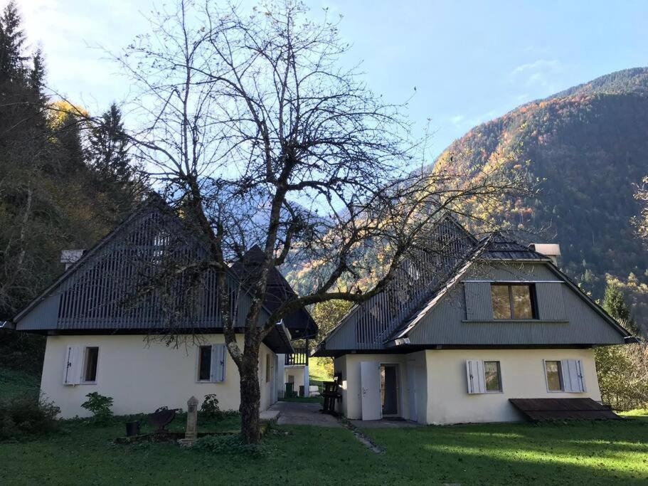 Cozy Cottage In The Heart Of The Triglav National Park Soča Esterno foto