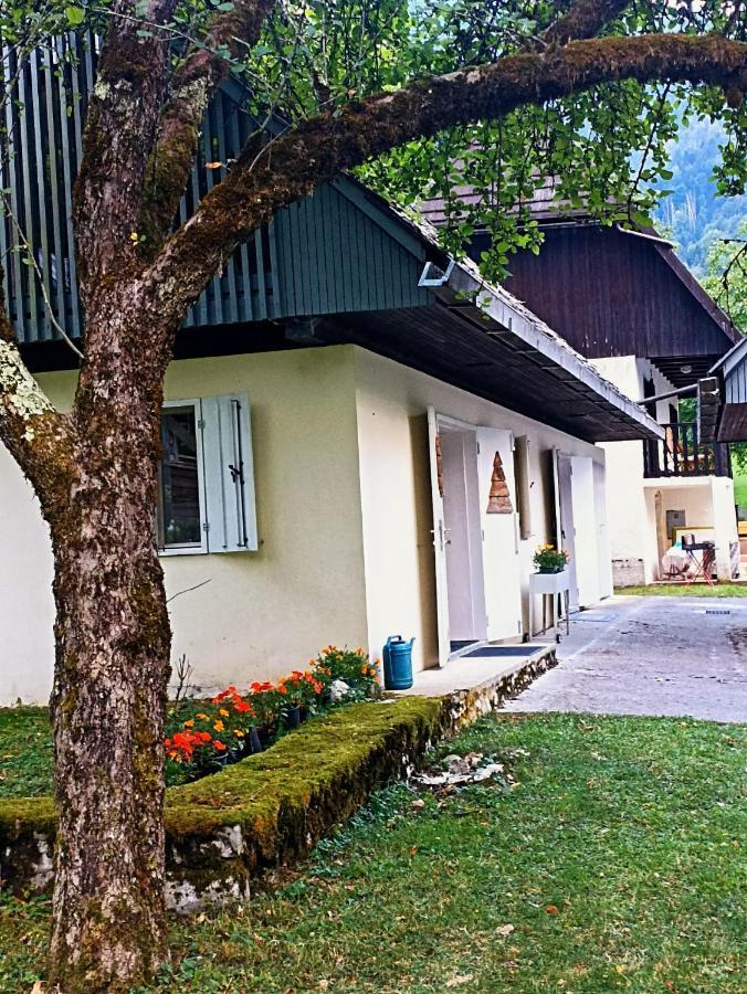 Cozy Cottage In The Heart Of The Triglav National Park Soča Esterno foto
