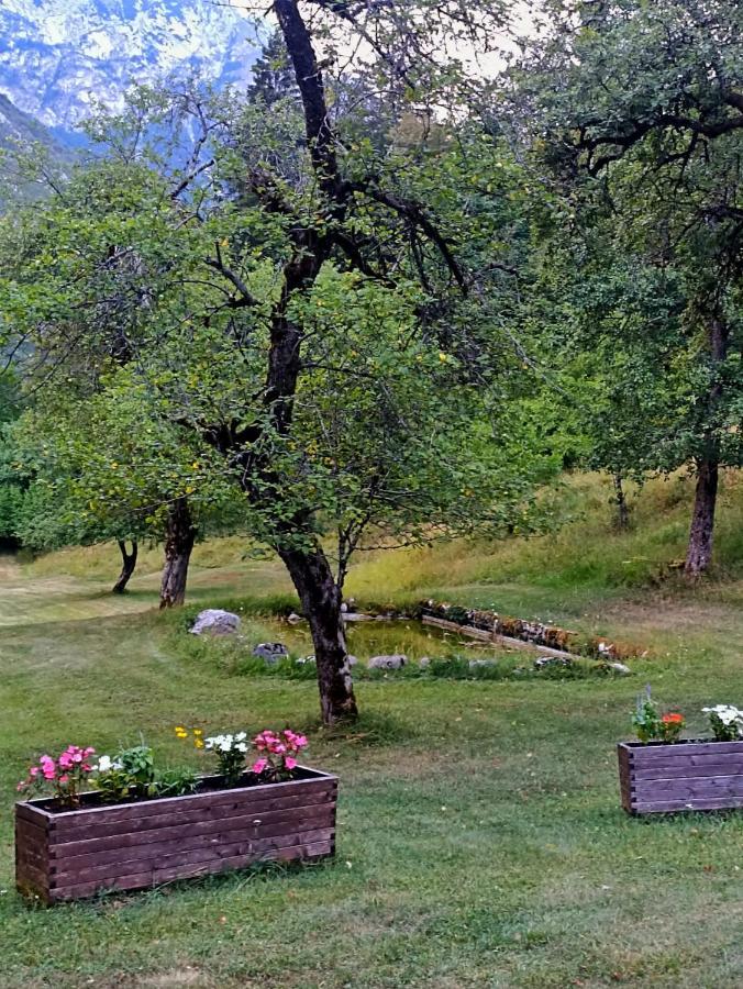 Cozy Cottage In The Heart Of The Triglav National Park Soča Esterno foto