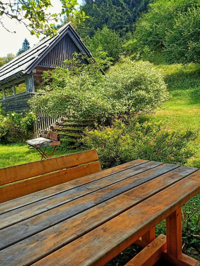 Cozy Cottage In The Heart Of The Triglav National Park Soča Esterno foto